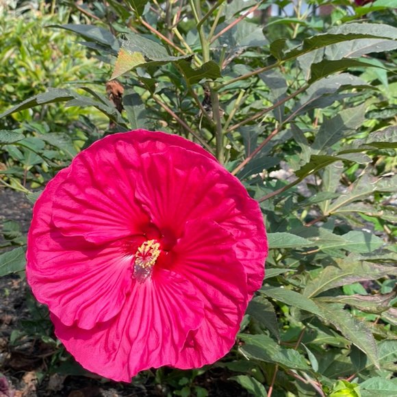 Welcome!! ☀️😊⛵️🧡 - Picture 8 of 8